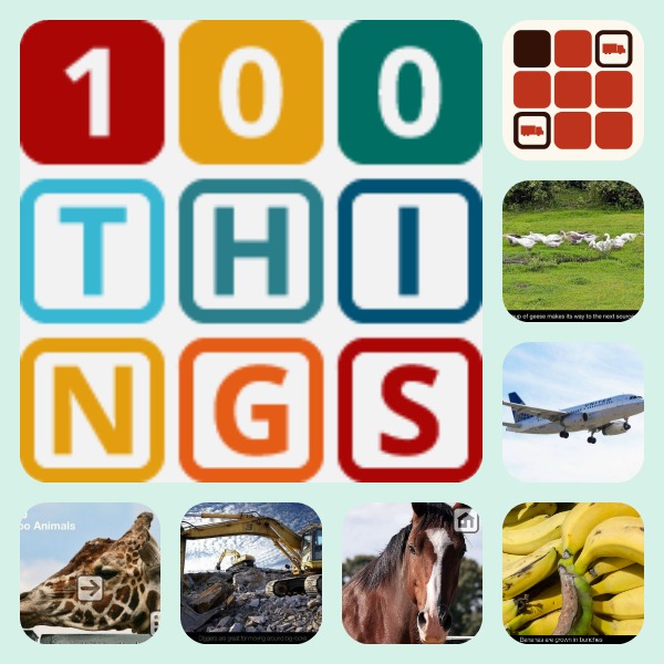 100things_juego educativo_100imágenes